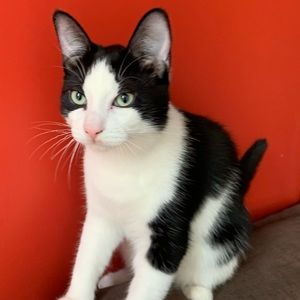 Meet your Posher, Danielle